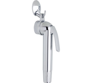 Kit ducha sanitaria Cromado Accesorios y Recambios
